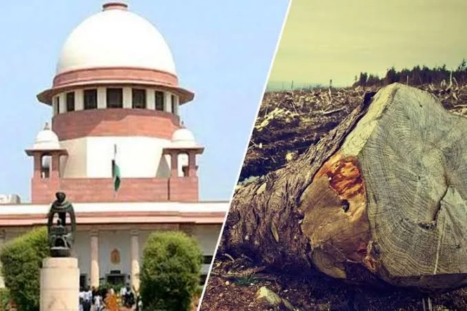 मुंबई: आरे कॉलोनी में अब तक 2,141 पेड़ गिराए गए, MMRCL मेट्रो का काम चालू