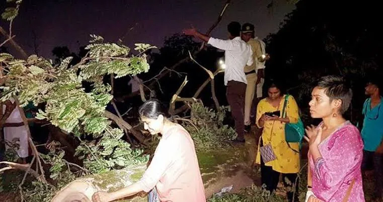 आरे काॅलाेनी में मेट्राे कार शेड के लिए पेड़ काटे जाने का जबरदस्त विरोध