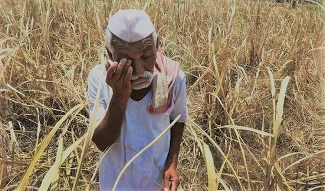 महाराष्ट्र में किसानों की कर्जमाफी से पड़ेगा 45,000-51,000 रुपये का बोझ: रिपोर्ट