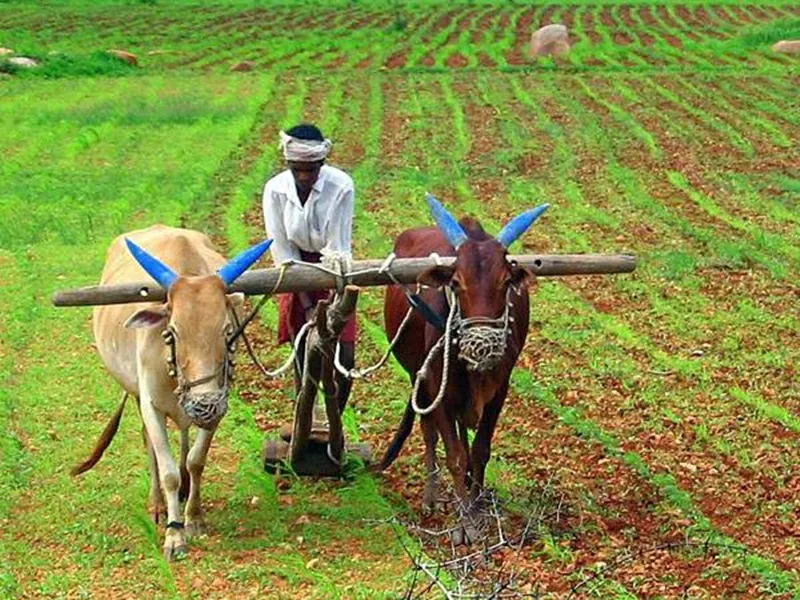 दक्षिण भारत का पहला ‘किसान रेल’ जो सब्जियों और फलों को लेकर आंध्र से दिल्ली पहुंचता है