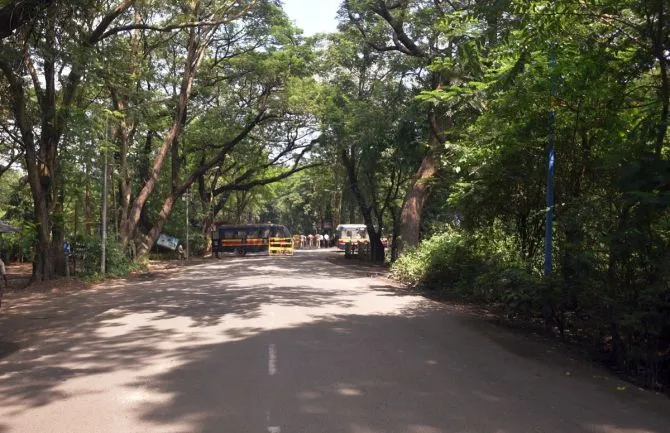 महाराष्ट्र के मुख्यमंत्री उद्धव ठाकरे ने मेट्रो कार शेड को आरे से कांजूरमार्ग स्थानांतरित किया जाएगा