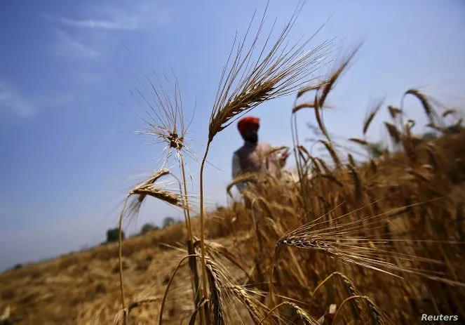 महाराष्ट्र सरकार ने इस साल भारी बारिश के कारण अपनी फसल गंवाने वाले किसानों की मदद लिए 2,297 करोड़ रुपये जारी किए