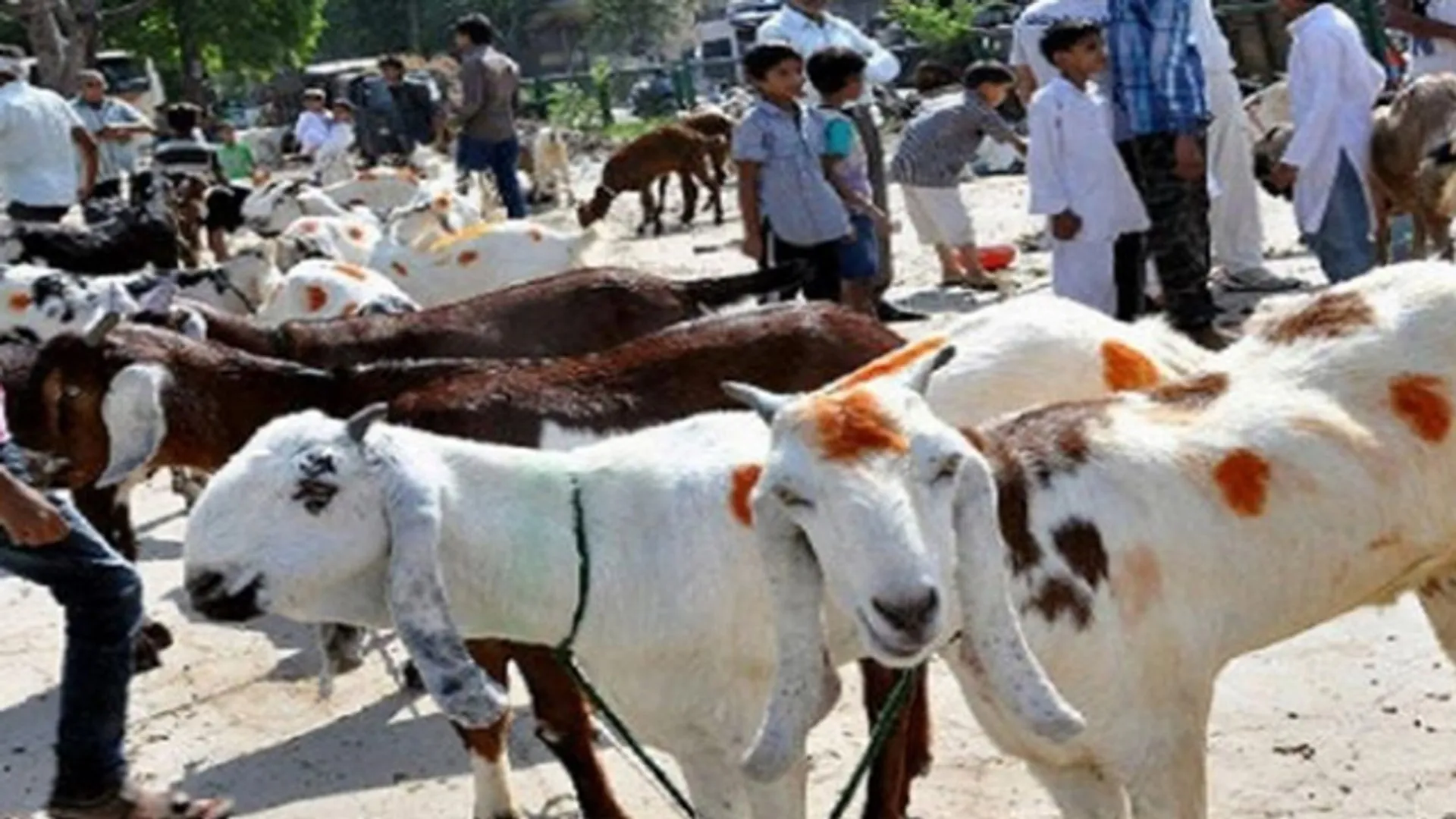 कोरोना के कारण उत्पन्न हुई परिस्थिति को देखते हुए गृह विभाग ने जारी किया गाइडलाइन, घर पर मनाएं बकरी ईद