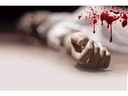 56 वर्षीय युवक ने 72 वर्षीय बुजुर्ग महिला ने की हत्या