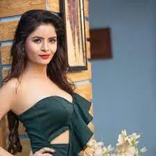 अश्लील फिल्म बनाने  के मामले में चार लोगों को अपराध शाखा ने गिरफ्तार किया