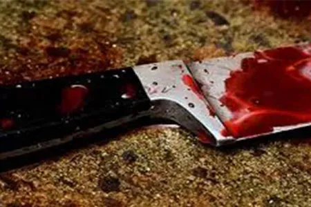 पालघर में छोटी बातों को लेकर मां की हत्या करने वाला शख्स गिरफ्तार