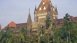 उच्च न्यायालय ने अदालत पर पूर्वाग्रह रखने का आरोप लगाने को लेकर वकील को फटकार लगाई