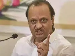 एक ही स्मारक में कई जगह एक ही महापुरुषों की मूर्तियां खड़ी देख अजीत पवार ने गुस्से से कहा, “ओह, कितनी मूर्तियाँ?”
