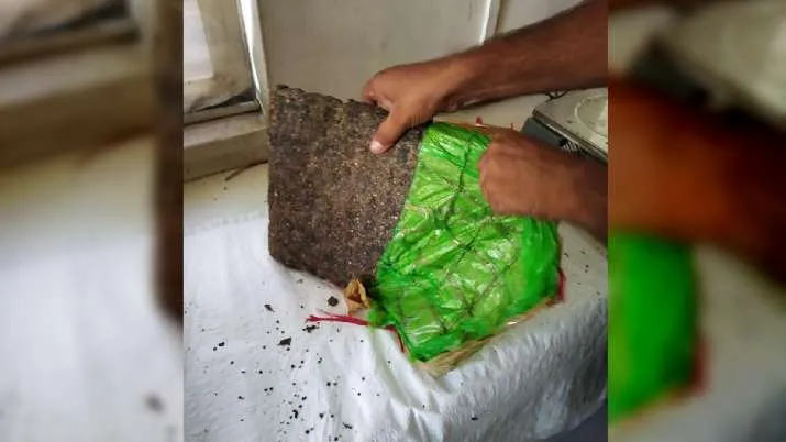 मुंबई हाइवे पर NCB ने ड्रग सिंडिकेट का किया भंडाफोड़… 3.5 करोड़ रुपये कीमत का 286 किलो गांजा जब्त!