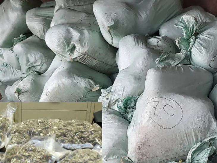 40 लाख का गांजा जब्त, विशाखापट्टनम से अजमेर में हो रही थी अवैध तस्करी