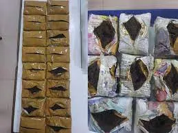 एनसीबी की बड़ी कार्रवाई, मुंबई से चार किलो चरस जब्त...दो गिरफ्तार