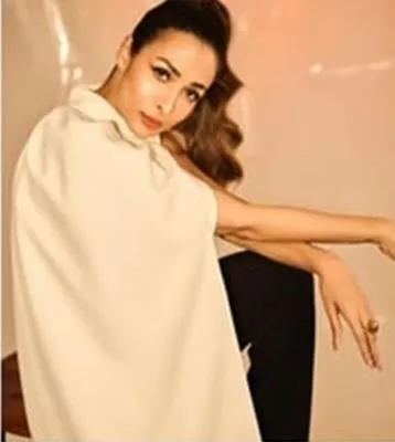 मलाइका के कपड़ों का बेटे अरहान ने उड़ाया मजाक... टेबल नैपकिन से कर दी ड्रेस की तुलना