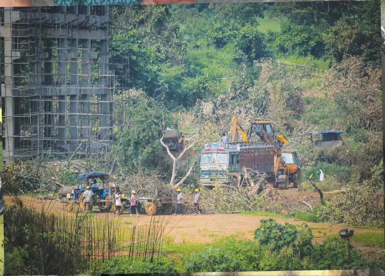 सरकार ने मेट्रो-३ के लिए और १७७ पेड़ों को काटने की मांगी अनुमति ...