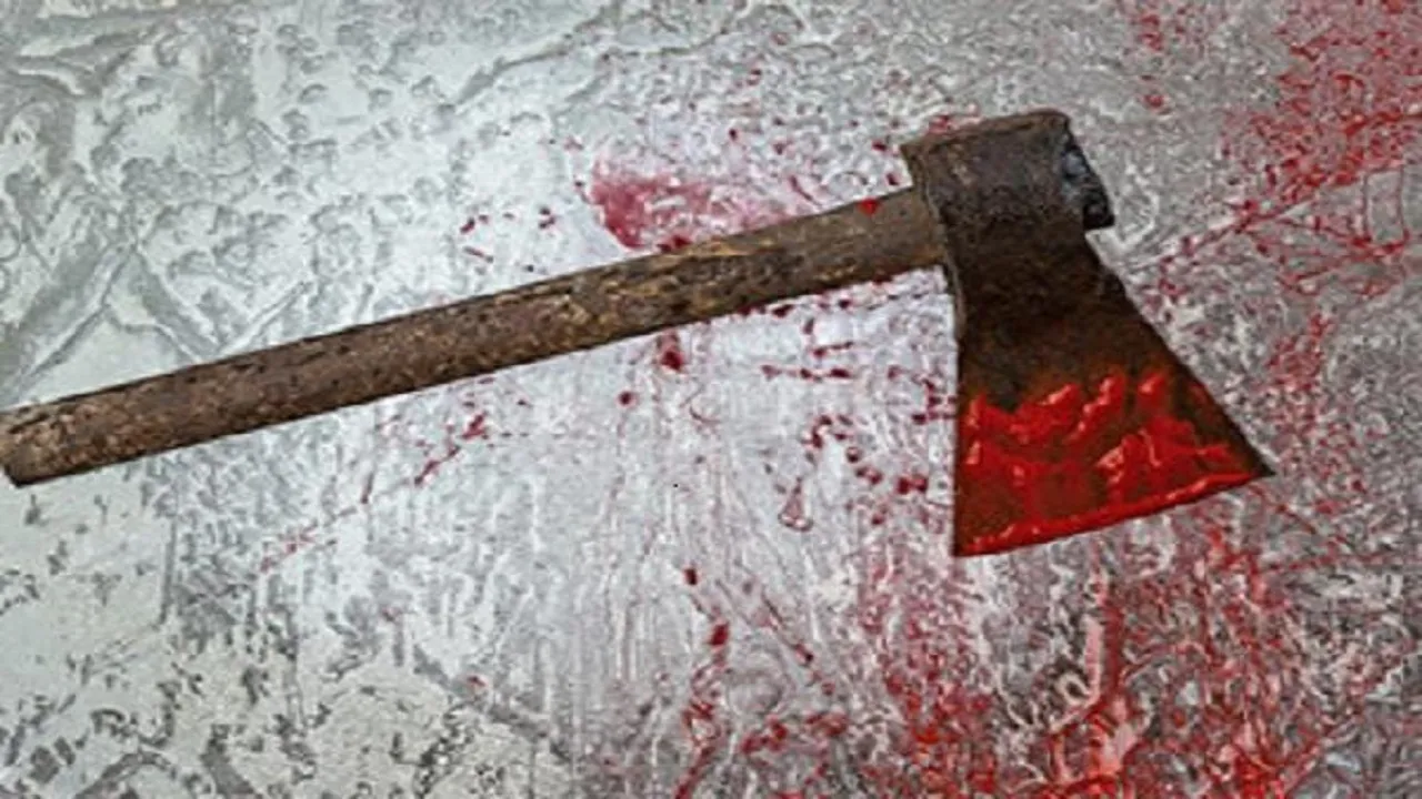 पालघर जिले में साले ने जीजा को कुल्हाड़ी से वार कर उतारा मौत के घाट... गिरफ्तार