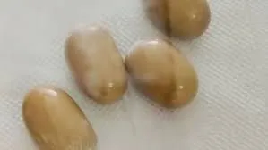 मुंबई के एयरपोर्ट से करोड़ों का सोना और विदेशी मुद्रा जब्त... तस्करी का तरीका हैरान कर देगा