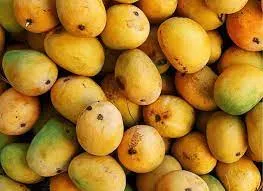 मुंबई के बाजारों में कच्चे आमों को केमिकल से पकाकर बेच रहे हैं