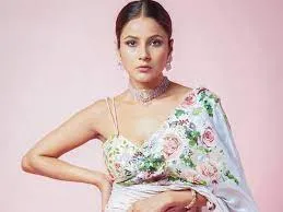 फिल्म किसी का भाई किसी की जान' में शहनाज गिल के रोल से उठा पर्दा... एक्ट्रेस ने खुद बताया इस किरदार में आएंगी नजर