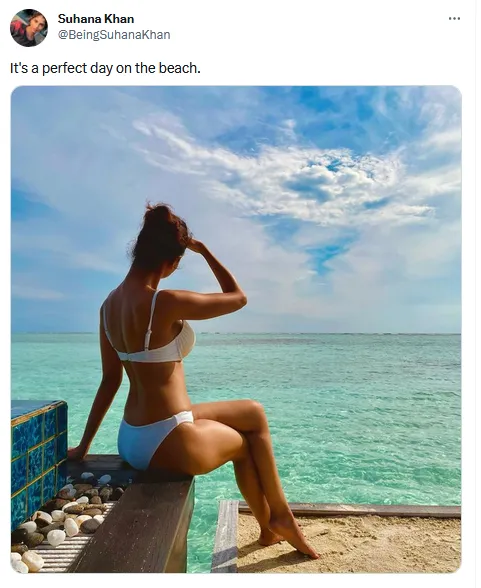 शाह रुख खान की बेटी सुहाना ने सफेद बिकिनी पहन बढ़ाया इंटरनेट का पारा....