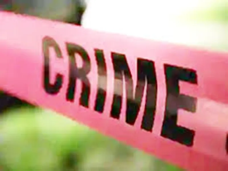 महाराष्ट्र के ठाणे जिले में ट्रांसजेंडर व्यक्ति की ‘लिव-इन-पार्टनर’ ने की हत्या !