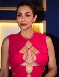 मलाइका अरोड़ा ने पिंक डीप नेकलाइन ड्रेस में गिराई बिजलियां... 