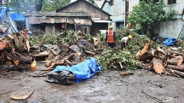 मुंबई के भायखला में 50 साल पुराना बरगद का पेड़ गिरने से 1 की मौत  