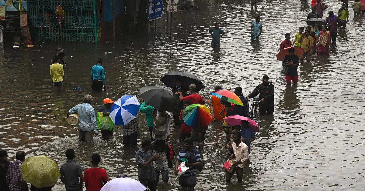 ठाणे और पालघर जिलों में भारी बारिश के कारण निचले इलाकों से परिवारों को सुरक्षित स्थानों पर स्थानांतरित किया गया