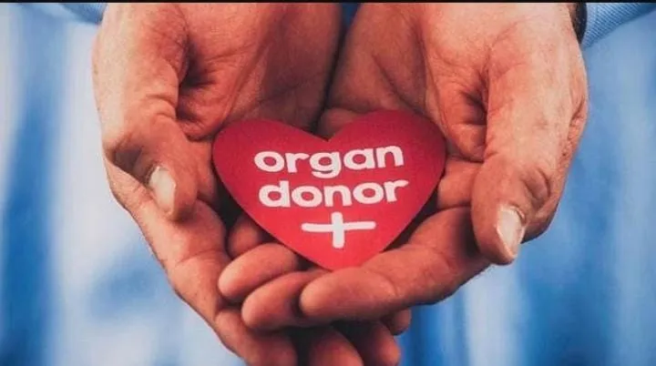 मुंबई के वाडिया अस्पताल हृदय प्रत्यारोपण लाइसेंस के लिए आवेदन करेगा