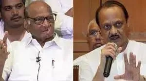 शरद पवार ने दोहराया- राकांपा में कोई विभाजन नहीं; विधायकों का मतलब पूरी पार्टी नहीं