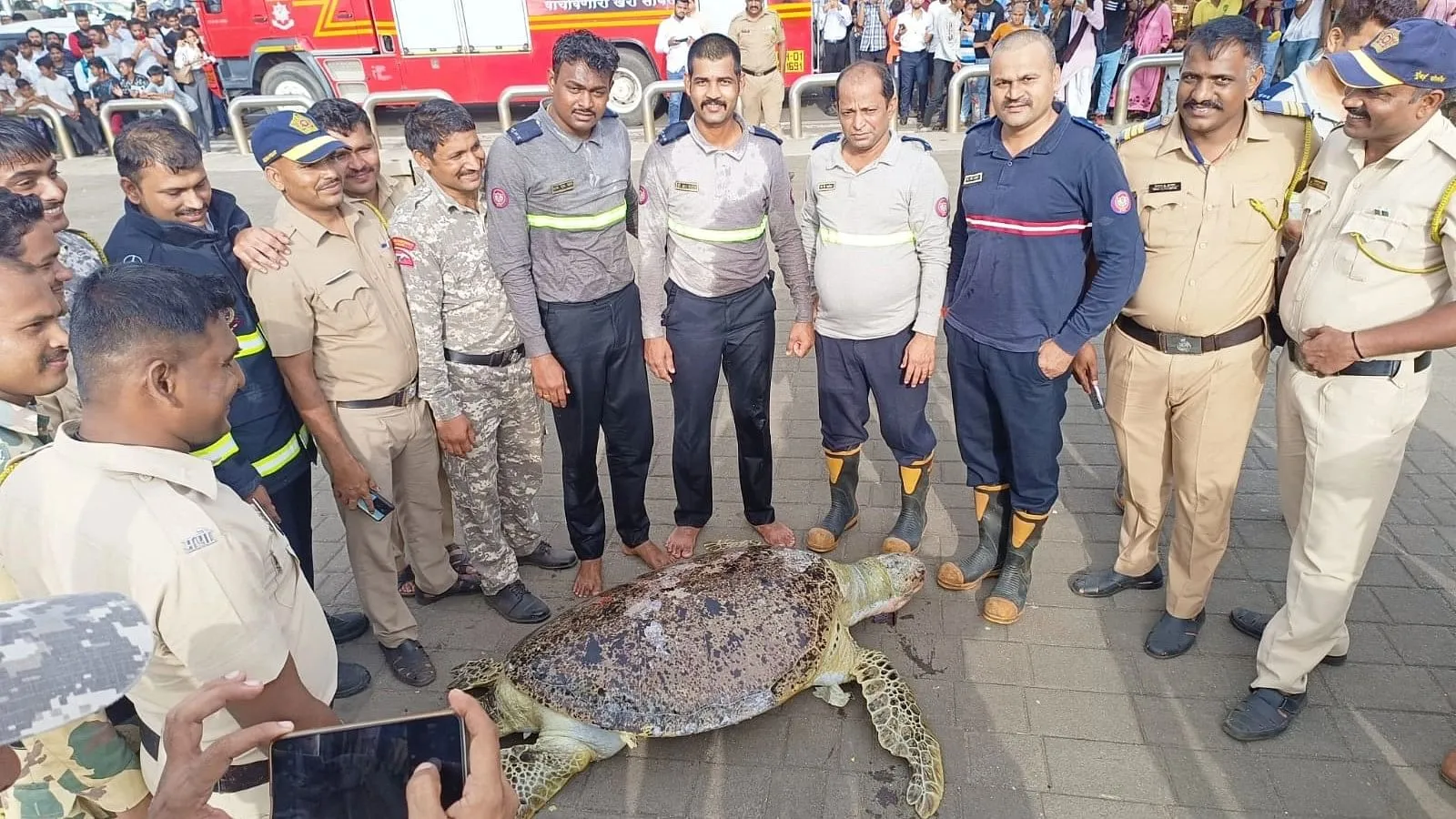 नरीमन प्वाइंट समुद्र  किनारे 130 साल का एक कछुआ बच नहीं सका