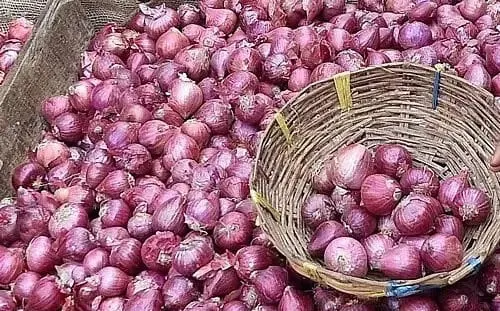 प्याज का भाव 20 रुपये प्रति किलो से नीचे