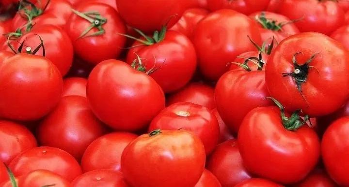 टमाटर की बढ़ती कीमतों में गिरावट, बाजार में 90% सुधार देखा गया