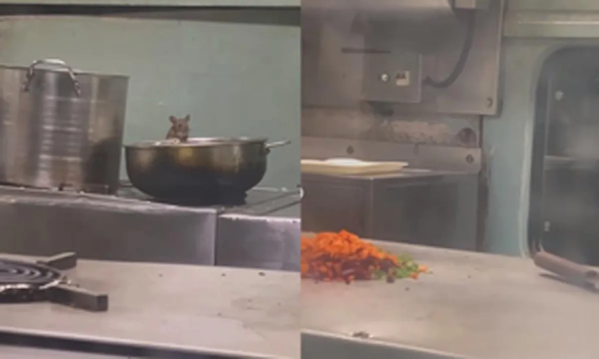 पैंट्री कार में चूहों ने चखे यात्रियों के लिए बने खाने