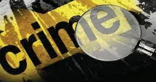 ठाणे में नाबालिग बेटे के सामने मां की पीट-पीट कर हत्या... बेटा गंभीर रूप से घायल, आरोपी गिरफ्तार