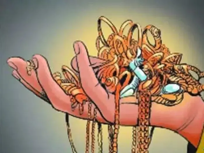 लुटेरे गाँव में घुसे; बंदूक की नोक पर दो घरों में डकैती, जांच में जुटी पुलिस