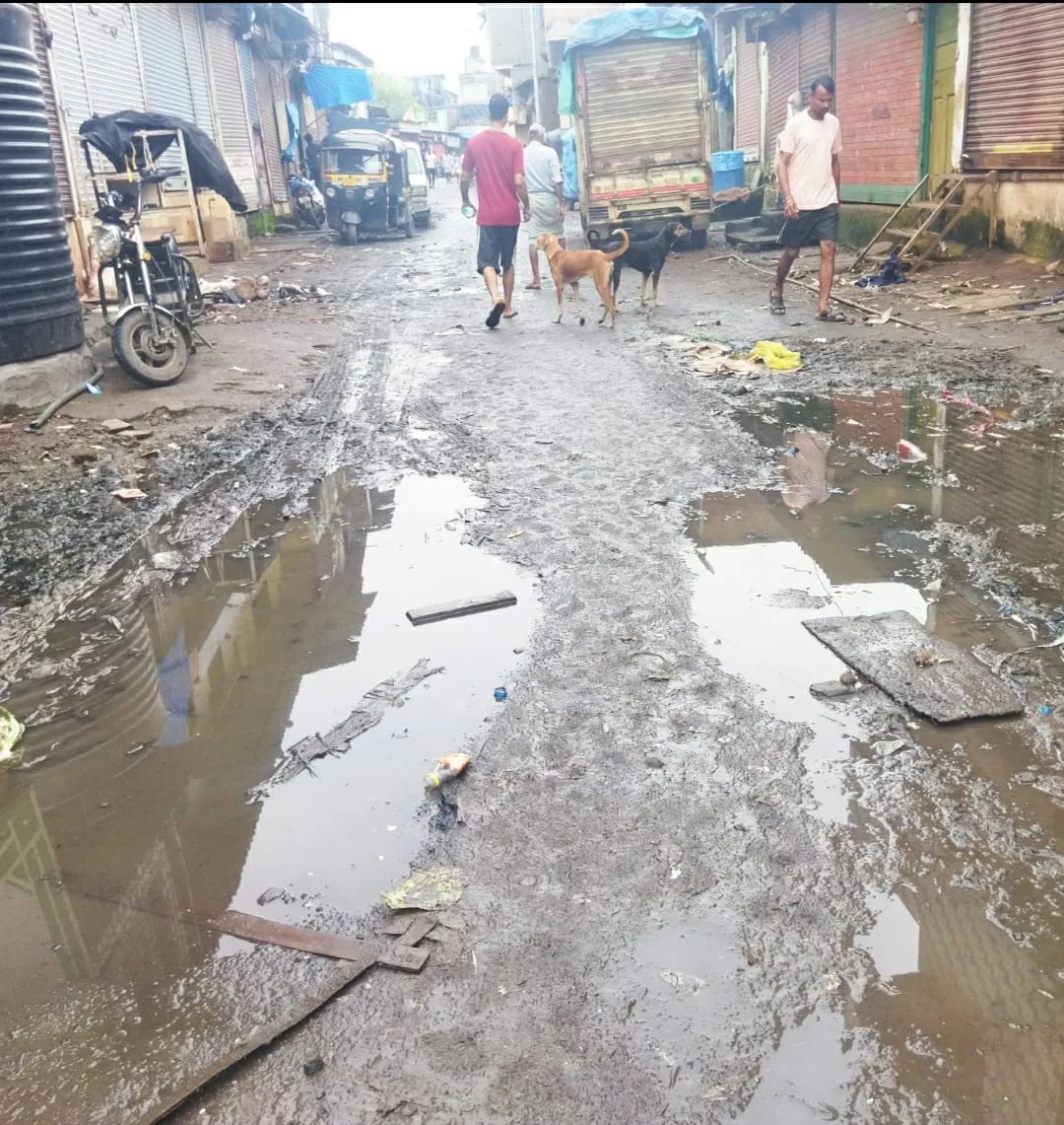मानखुर्द इंदिरानगर परिसर में चारों ओर फैली गंदगी कचरे के ढेर दो महीनों से डेंगू मलेरिया का प्रकोप बढ़ा