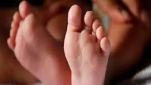 पहले चार साल की बेट को फांसी पर लटकाया... फिर दंपती ने की खुदकुशी