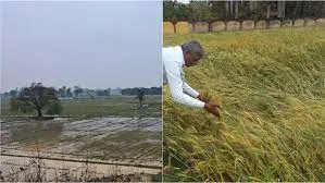 किसानों के लिए कठिनाई का काल, बेमौसम बारिश की भी पड़ी मार