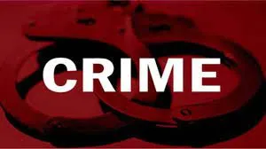 माता-पिता के चिल्लाने के डर से छात्रा ने आत्महत्या का किया प्रयास 