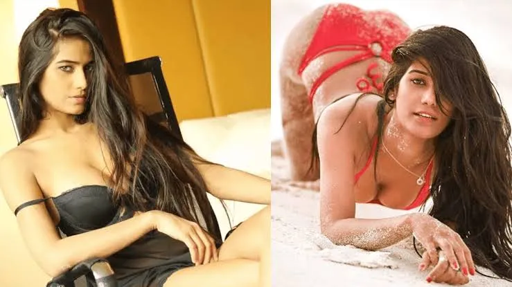 एक्ट्रेस पूनम पांडे का सर्वाइकल कैंसर से निधन, 32 साल की उम्र में मौत