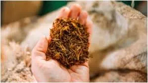 नवी मुंबई में पनवेल-सायन रोड पर 10 लाख रुपये मूल्य के प्रतिबंधित तंबाकू बरामद...  दो गिरफ्तार 