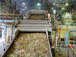 13 सहकारी चीनी मिलों को केंद्र से 1898 करोड़ का कर्ज देने का फैसला...