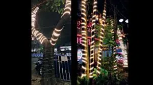 सजावटी लाइटों से पेड़ों को होने वाले नुकसान को लेकर HC ने जारी किया नोटिस...