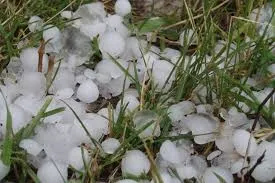 अकोला शहर में तूफानी बारिश के साथ ओलावृष्टि... आम सहित सब्जियों को नुकसान