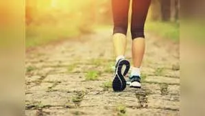 माहिम फिशरमैन कॉलोनी से वर्ली किला और मंत्रालय से बधवार पार्क तक बनेगा वॉक वे...