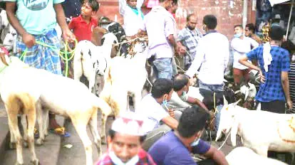 हाईकोर्ट से बकरीद के मौके पर कुर्बानी की इजाजत देने वाली नगर पालिका को राहत...