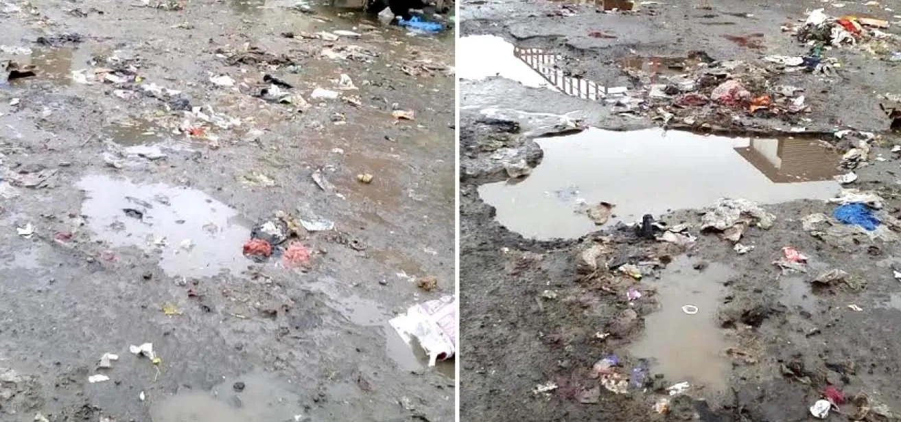 वसई-विरार की सड़कों का गांव के पगडंडी से भी बुरा हाल... सड़कों में गड्डे या गड्डों में सड़क, कहना मुश्किल