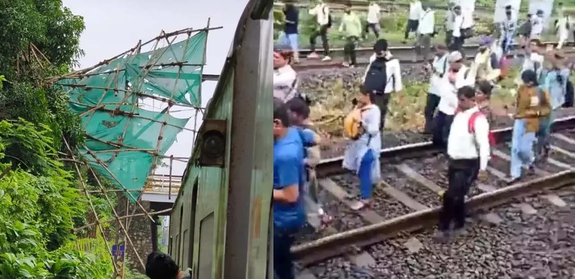 रेलवे ट्रैक पर गिर गया बांस, रेल सेवा बुरी तरह प्रभावित