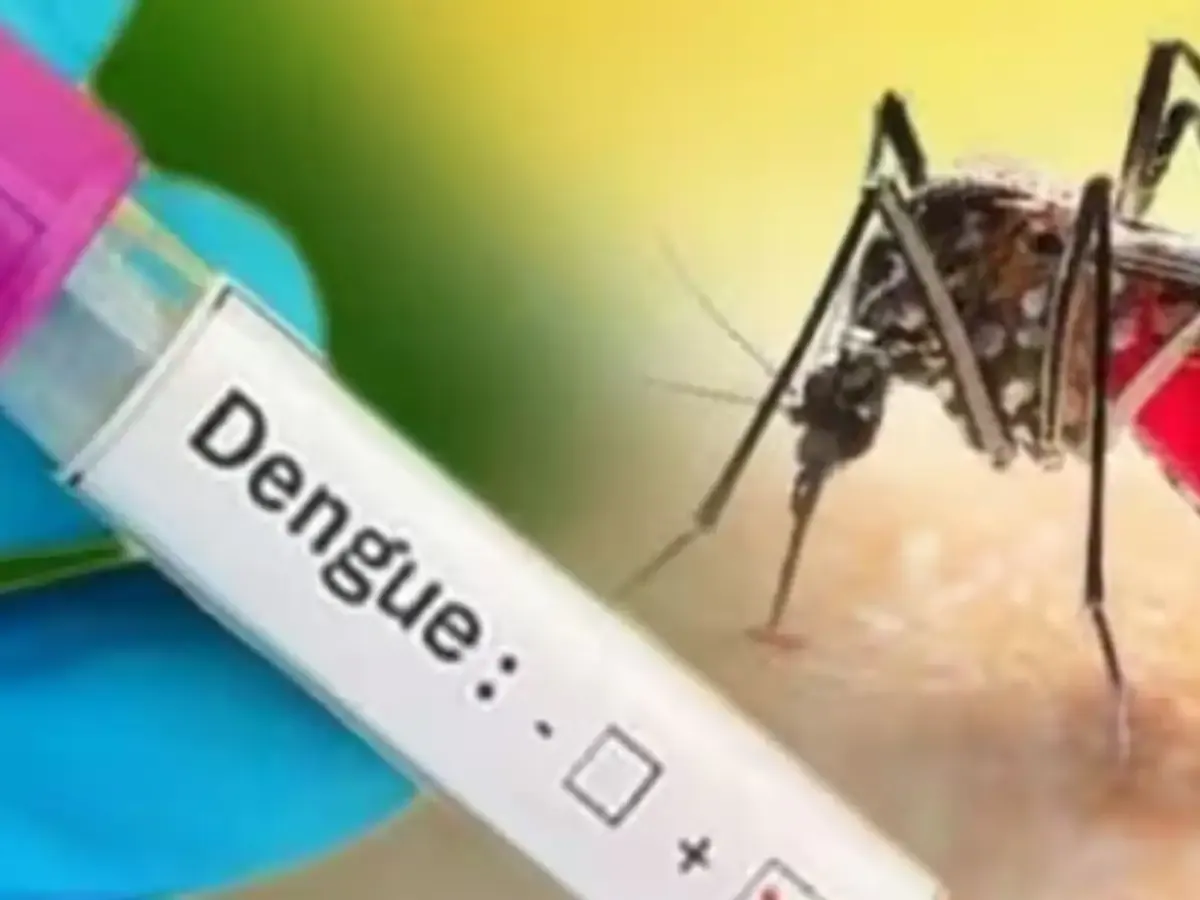 मुंबई: मच्छरों को मारने में नाकाम मनपा!; डेंगू और मलेरिया के मरीज बढ़े