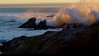 महाराष्ट्र : समुद्री तट के संरक्षण के लिए महाराष्ट्र समुद्री बोर्ड को एशियाई विकास बैंक की मदद