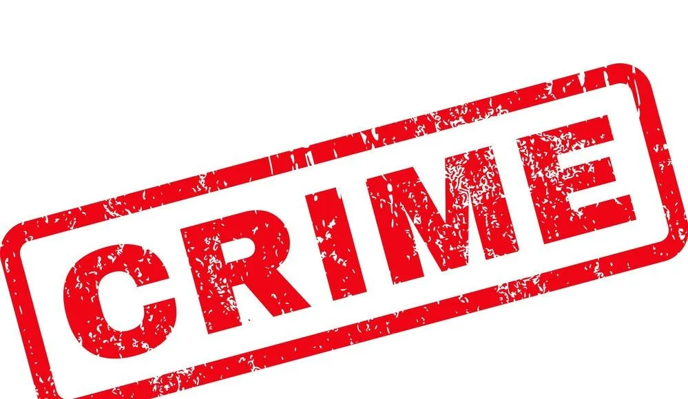 नवी मुंबई: एक रो हाउस से दो करोड़ साठ लाख कैश जब्त... चुनाव आयोग और ठाणे पुलिस की संयुक्त कार्रवाई !